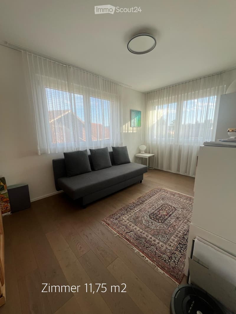 A modern living room with a dark grey sofa, a small white side table, a round mirror on the wall, and a patterned rug on the wooden floor. Large windows with sheer curtains allow natural light to fill the space.