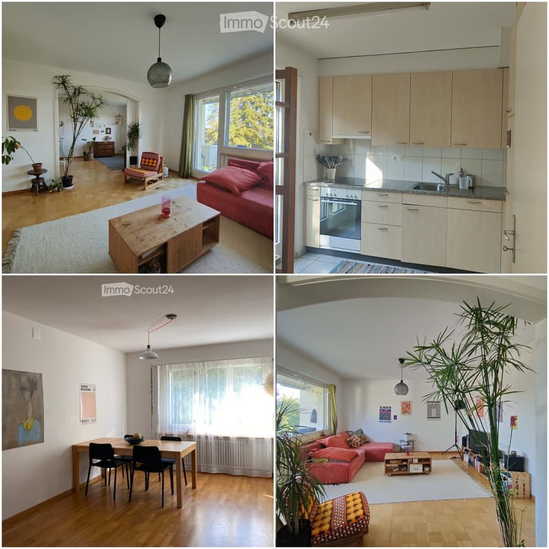 Four images show a modern, well-furnished living space with a red sofa, wooden coffee table, pendant light, kitchen with cabinets and appliances, dining area with a table and chairs, and decorative plants.