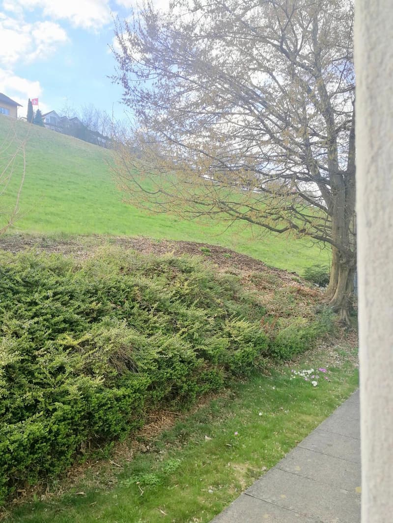 Wohnung in Beinwil am See (9)