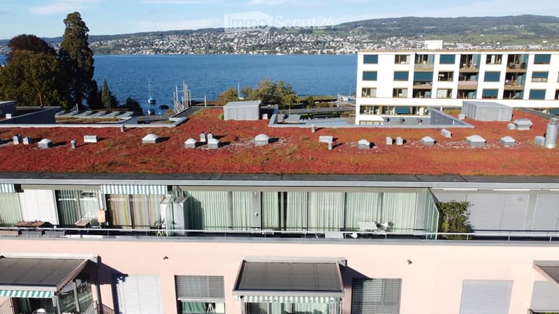 A modern building with a green roof and large windows, overlooking a scenic lake and cityscape.