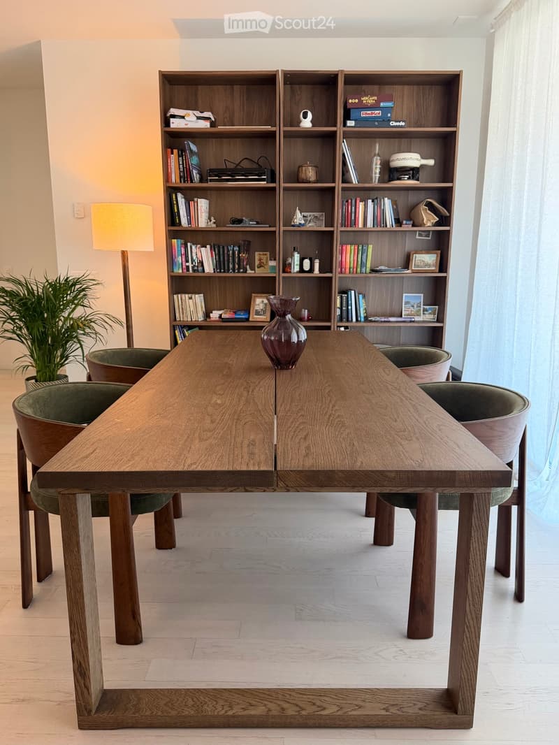 Appartamento 4.5 spazioso e arredato (3)