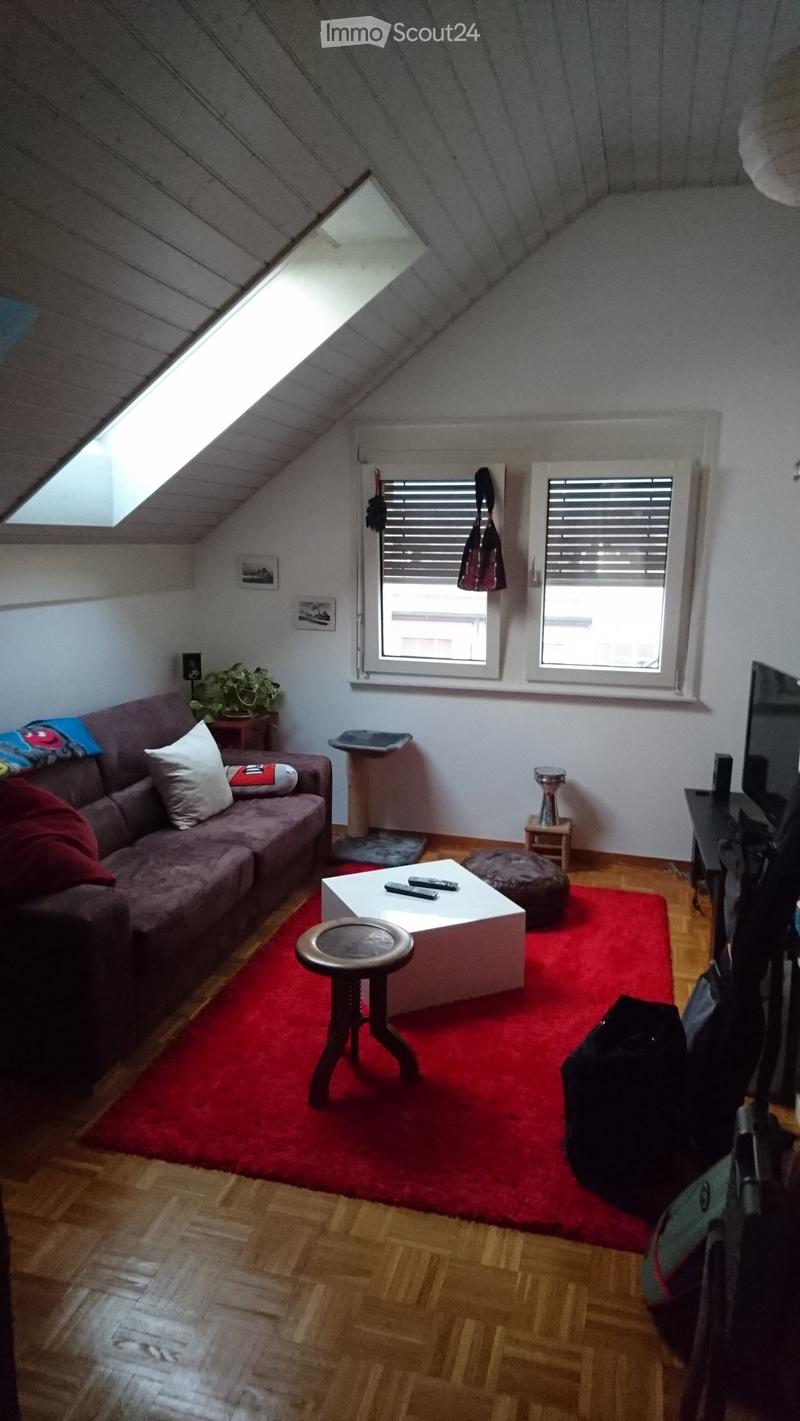 Living room with wooden flooring, red carpet, sofa, coffee table, ottoman, small table, plant, and TV screen.