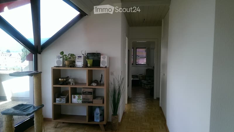 A well-lit room with a cat tree, a wooden shelf holding various items including speakers, a plant, and a radiator, with a hallway leading to another room.