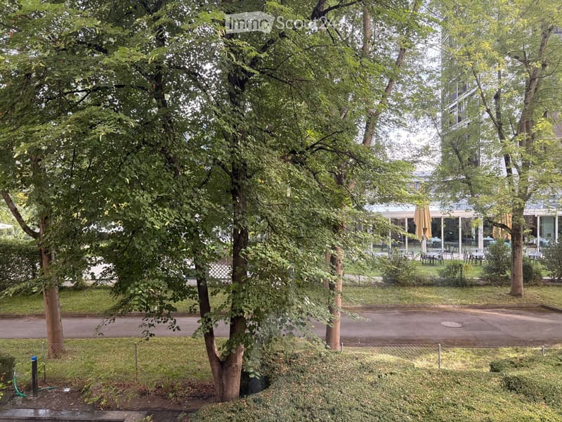 A lush garden area with tall trees, a paved driveway, and a building with outdoor seating in the background.