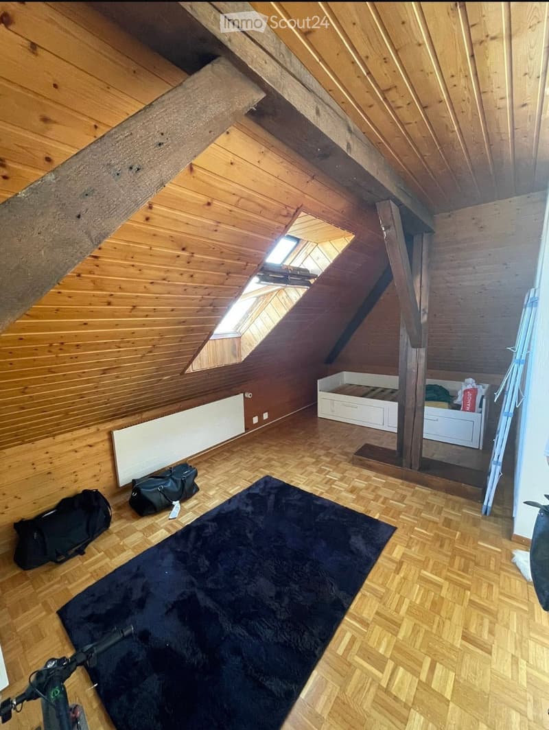 Attic room with wooden walls and ceiling, wooden floor, skylight window, black rug, and storage drawer.