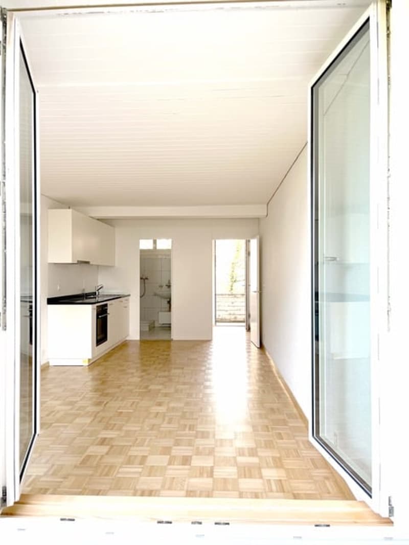 Bright, minimalist hallway with wooden flooring, white walls, and large glass doors leading to a balcony or outdoor area. The hallway connects to a kitchen and a bathroom.