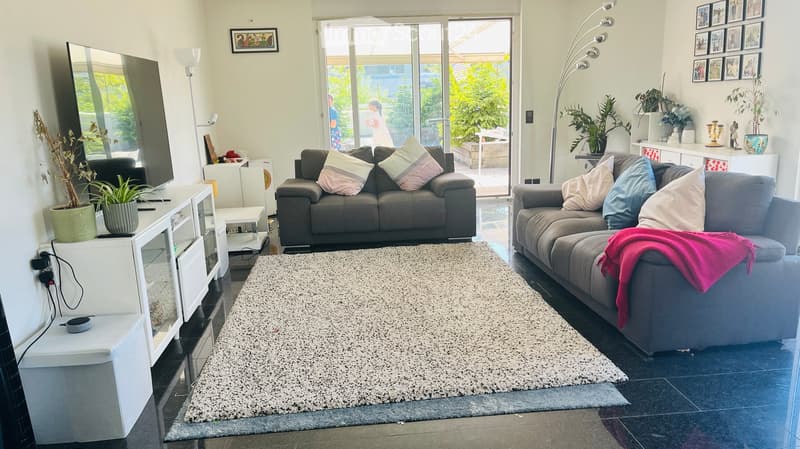 Modern living room with two grey sofas, a coffee table, a large shaggy rug, a TV on a white stand, and several plants. The room has large glass doors leading to a patio.