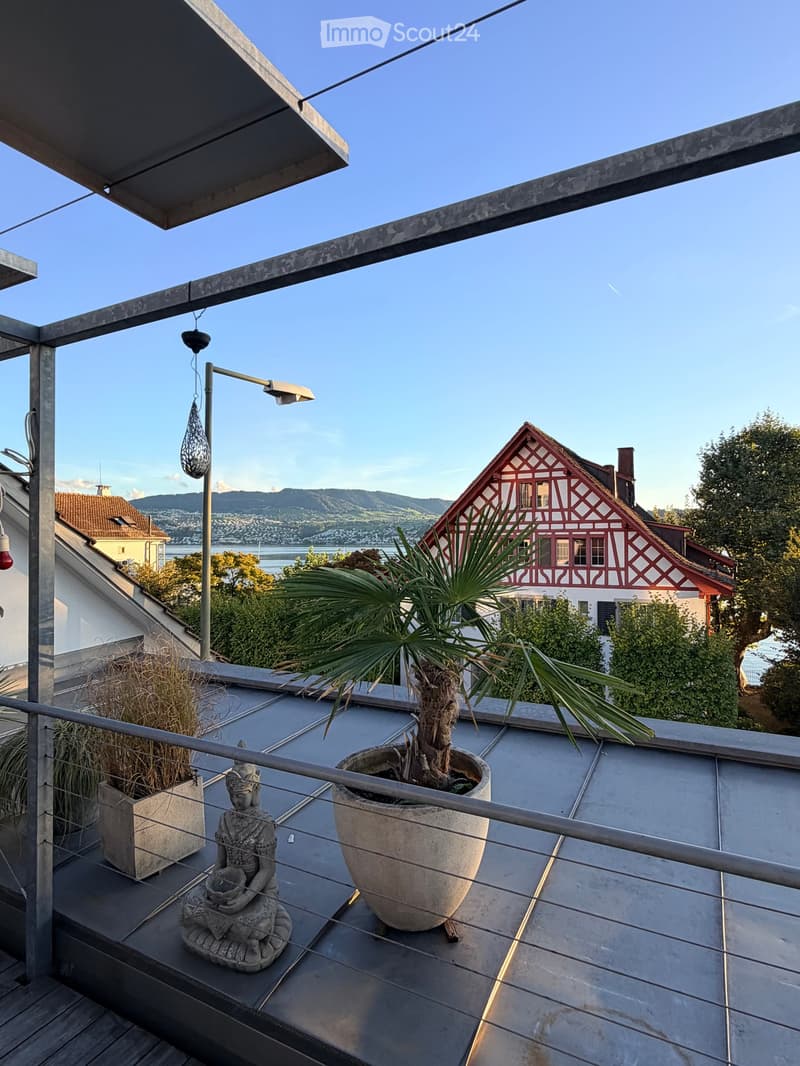 Roof terrace with a view of a lake and mountains, featuring a large potted plant and a decorative statue.