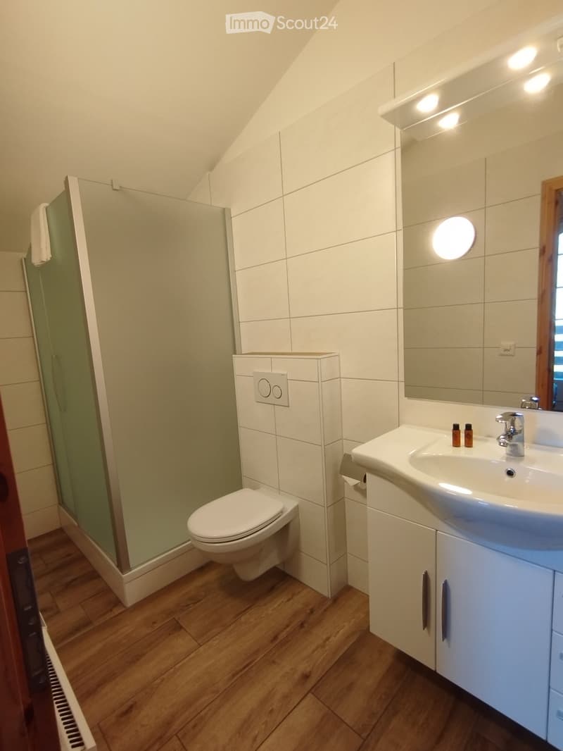 Modern bathroom with wooden flooring, white tiled walls, a toilet, a sink with a mirror, and a glass-enclosed shower area.
