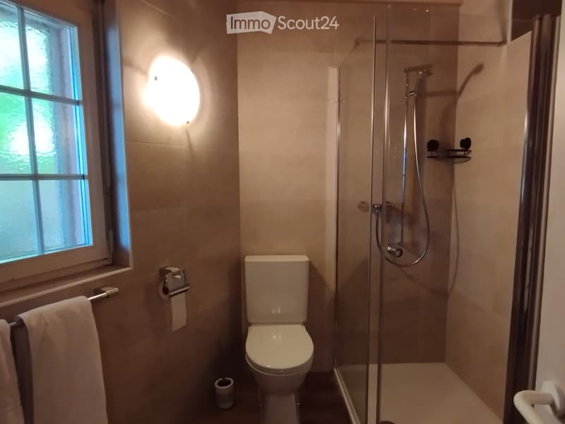 Modern bathroom with a toilet, glass-enclosed shower, towel rack, and a window providing natural light.