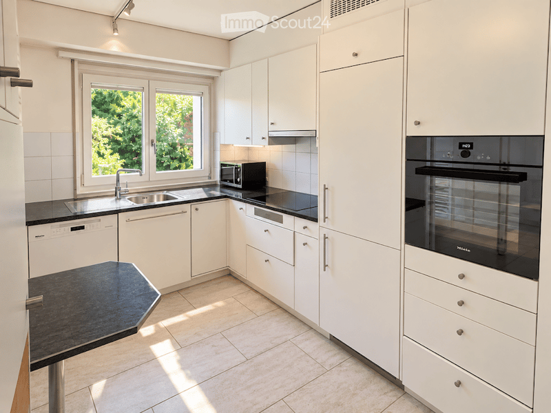 Modern kitchen with white cabinets, black countertops, stainless steel appliances, and a window overlooking greenery.