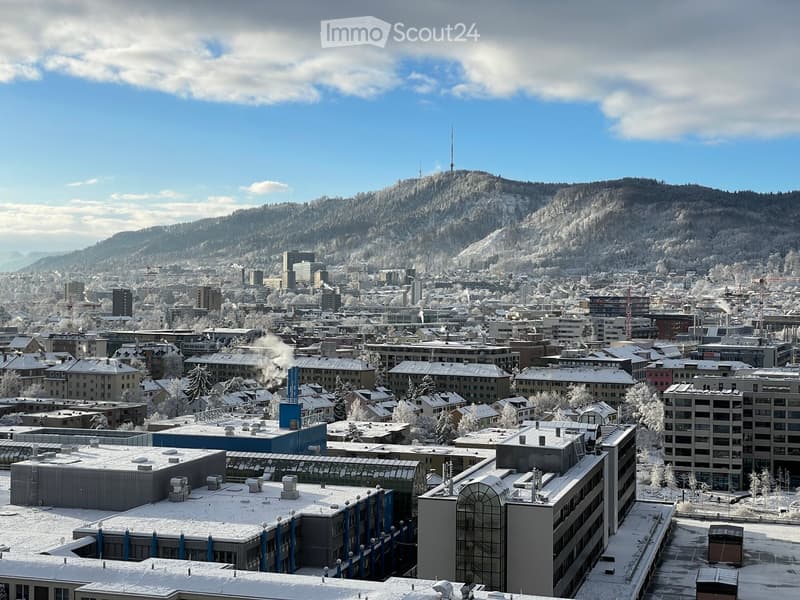 Panoramic view of a cityscape with snow-covered buildings and a mountain range in the background.