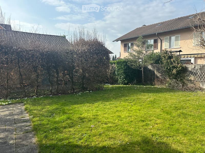 Lush green lawn with a concrete pathway leading to a house, surrounded by trees and shrubs.