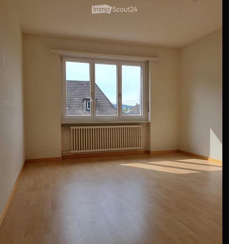 Empty room with light wooden flooring, white walls, and a large window offering a view of a roof and outdoor area. A radiator is visible below the window.