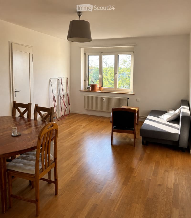 Bright living room with wooden flooring, large window, sofa, dining table, chairs, radiator, and potted plants on the windowsill.