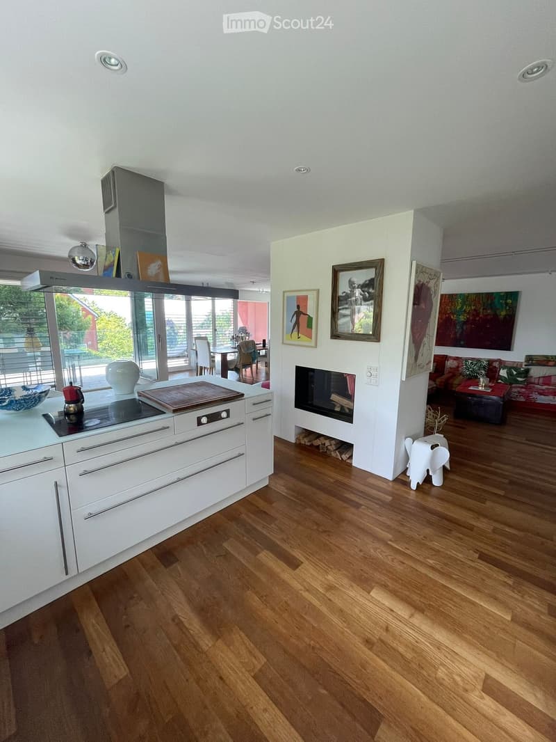 modern kitchen, white cabinets, wooden floor, stainless steel appliances, fireplace