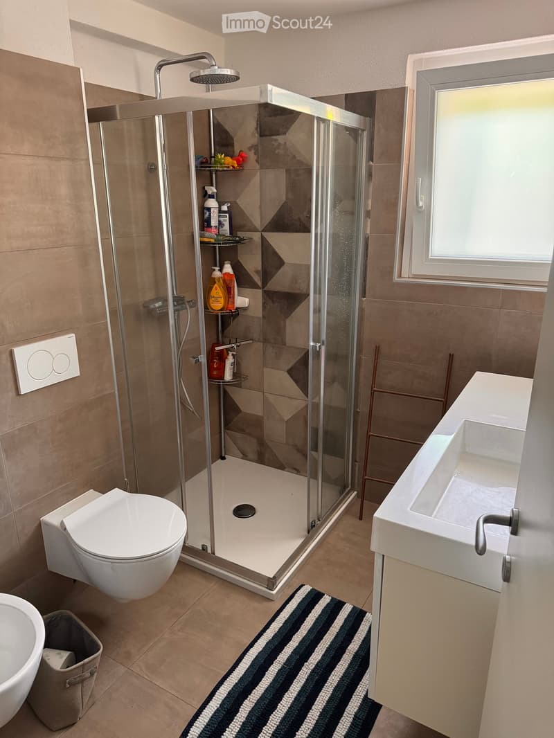 Modern bathroom with a white toilet, sink, and shower area. Features a glass-enclosed shower with a built-in shelf holding cleaning supplies, a striped bathroom rug, and a window providing natural light.