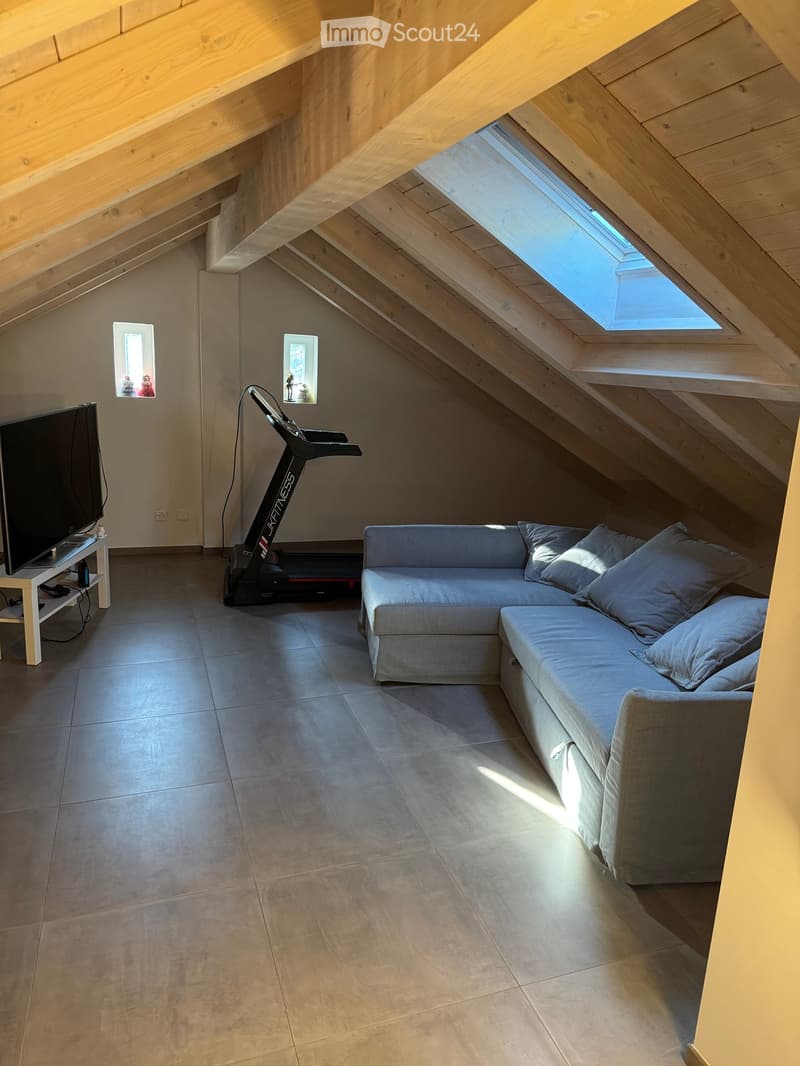 Loft-style living room with exposed wooden beams, skylights, grey sectional sofa, flat-screen TV on a white stand, and an exercise bike.