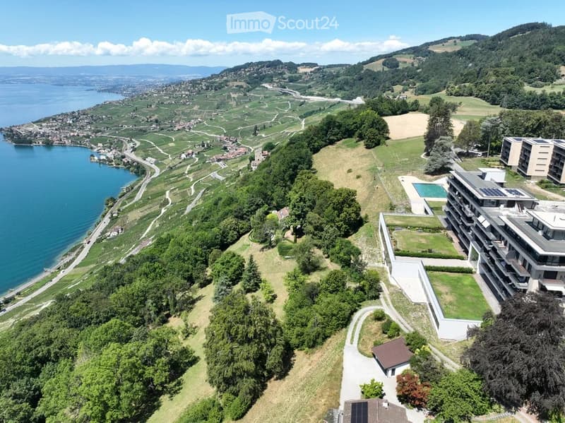 Aerial view of a modern residential complex with a swimming pool, surrounded by greenery and overlooking a scenic lake and vineyard landscape.