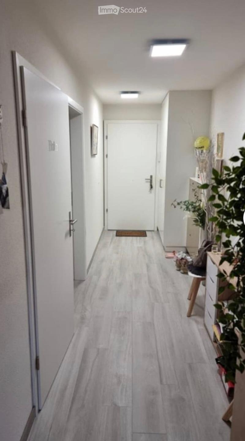 A clean, modern hallway with light grey wooden flooring, white walls, and recessed ceiling lighting. Features include a small doormat, a framed picture on the wall, and a small plant in a pot near the end of the corridor.