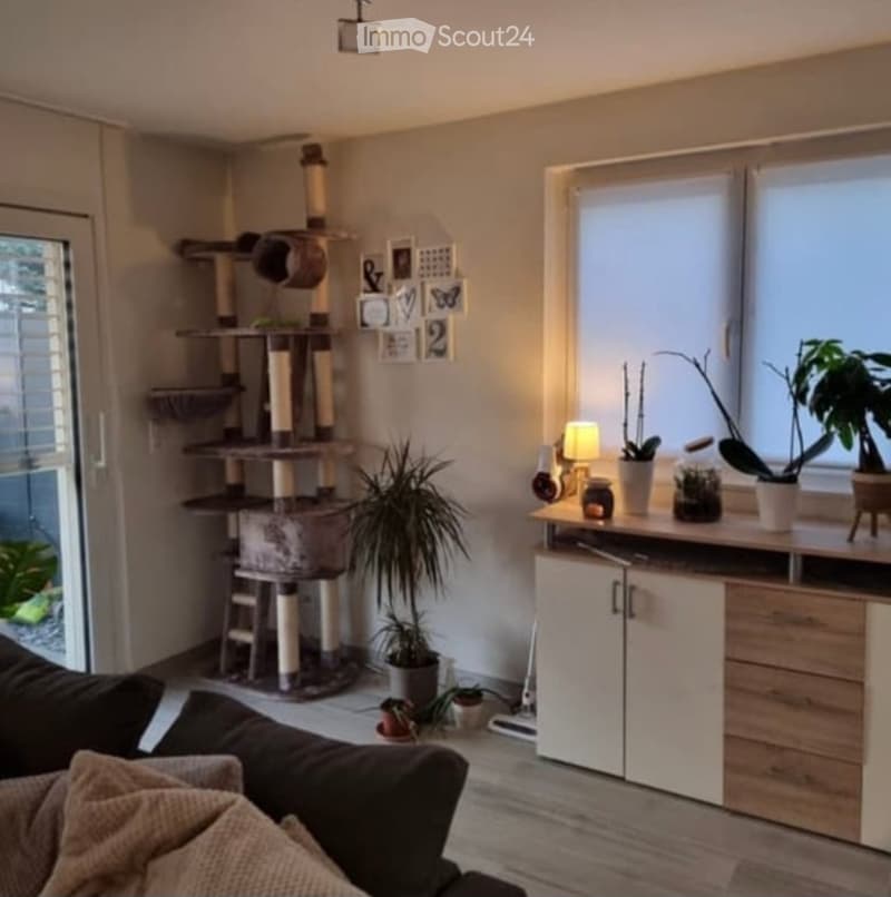 A cozy living room with a large window, a cat tree, a sofa, a cabinet with potted plants, and a table lamp.