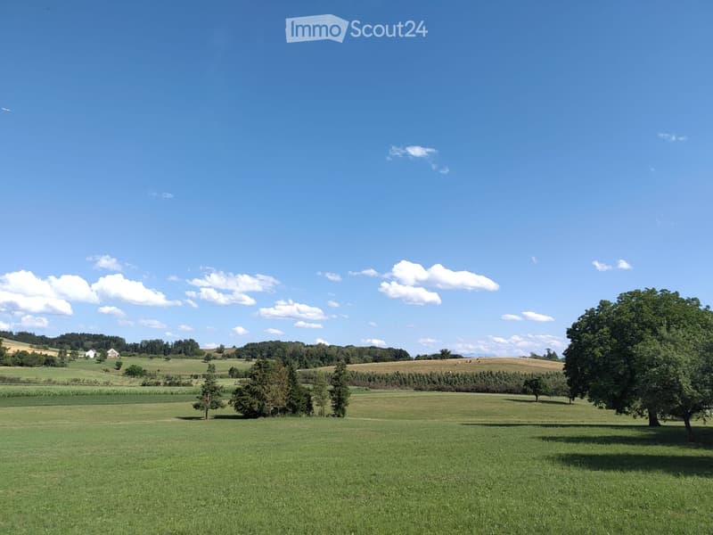 Open green field with scattered trees, distant farmhouses, and a clear blue sky with scattered clouds.
