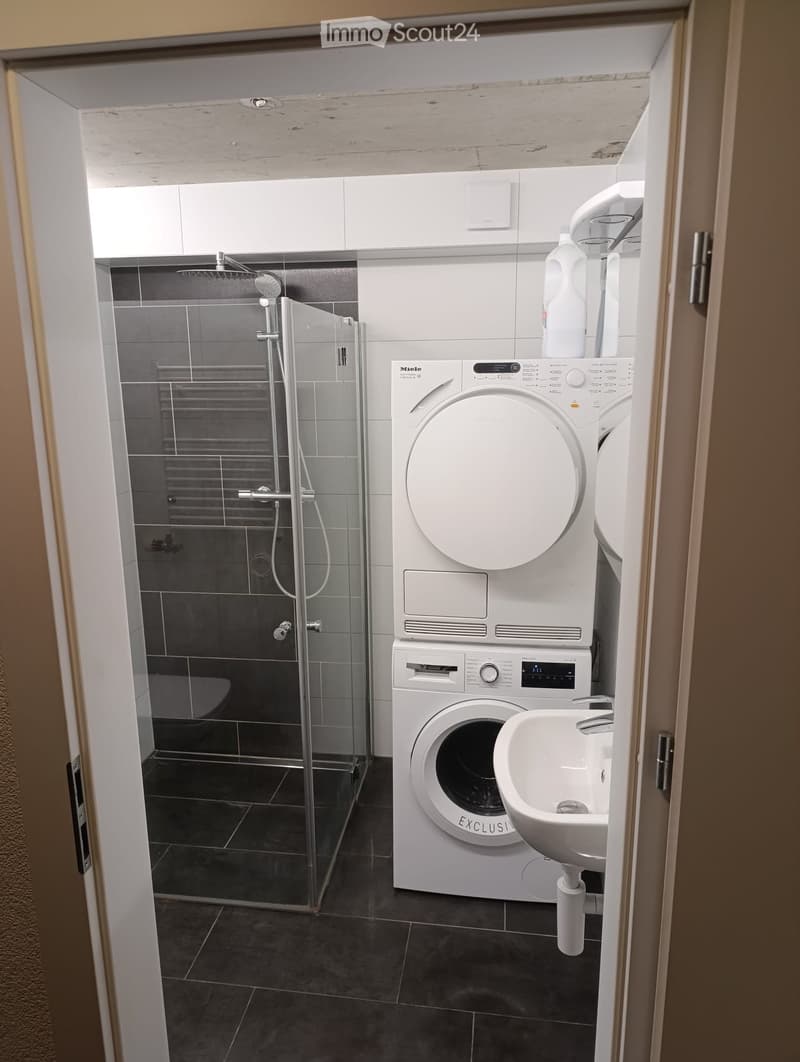 Modern bathroom with a washing machine, a sink, and a glass-enclosed shower area.