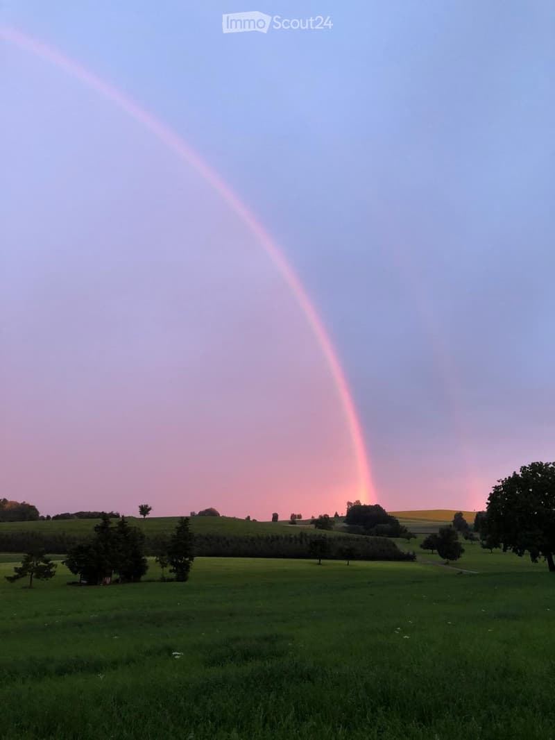 Open field with scattered trees and a rainbow in the sky during sunset.