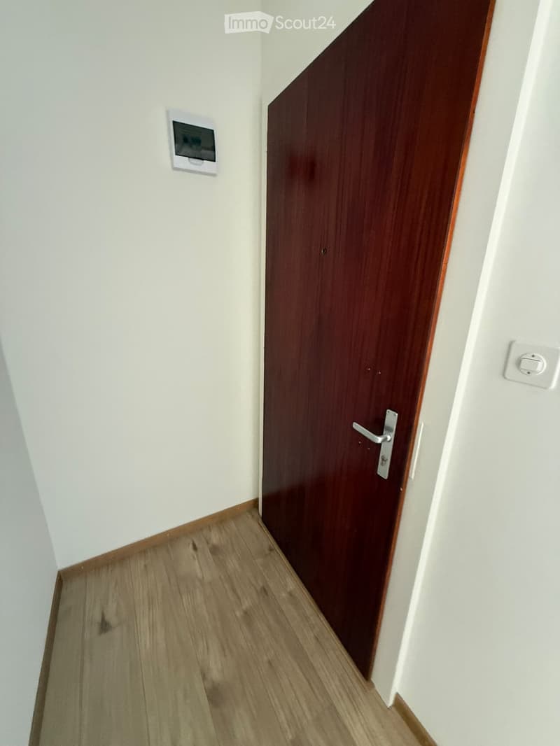 A narrow hallway with light wooden flooring and white walls, featuring a closed wooden door and a light switch on the right wall.