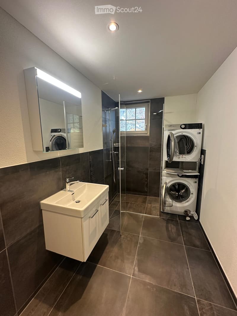 Modern bathroom with a white sink, large mirror, glass-enclosed shower, and a stacked washer/dryer unit.