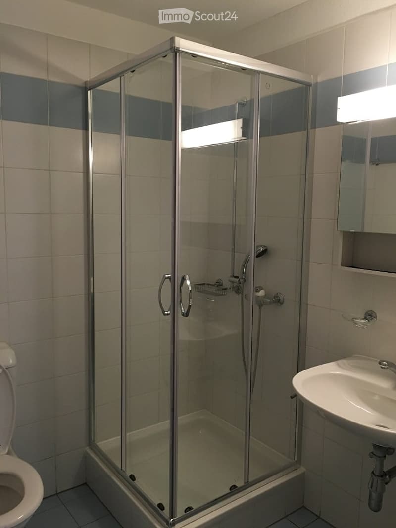 Modern bathroom with a glass-enclosed shower stall, toilet, sink, and a mirror above the sink. The walls are tiled in a blue and beige pattern.