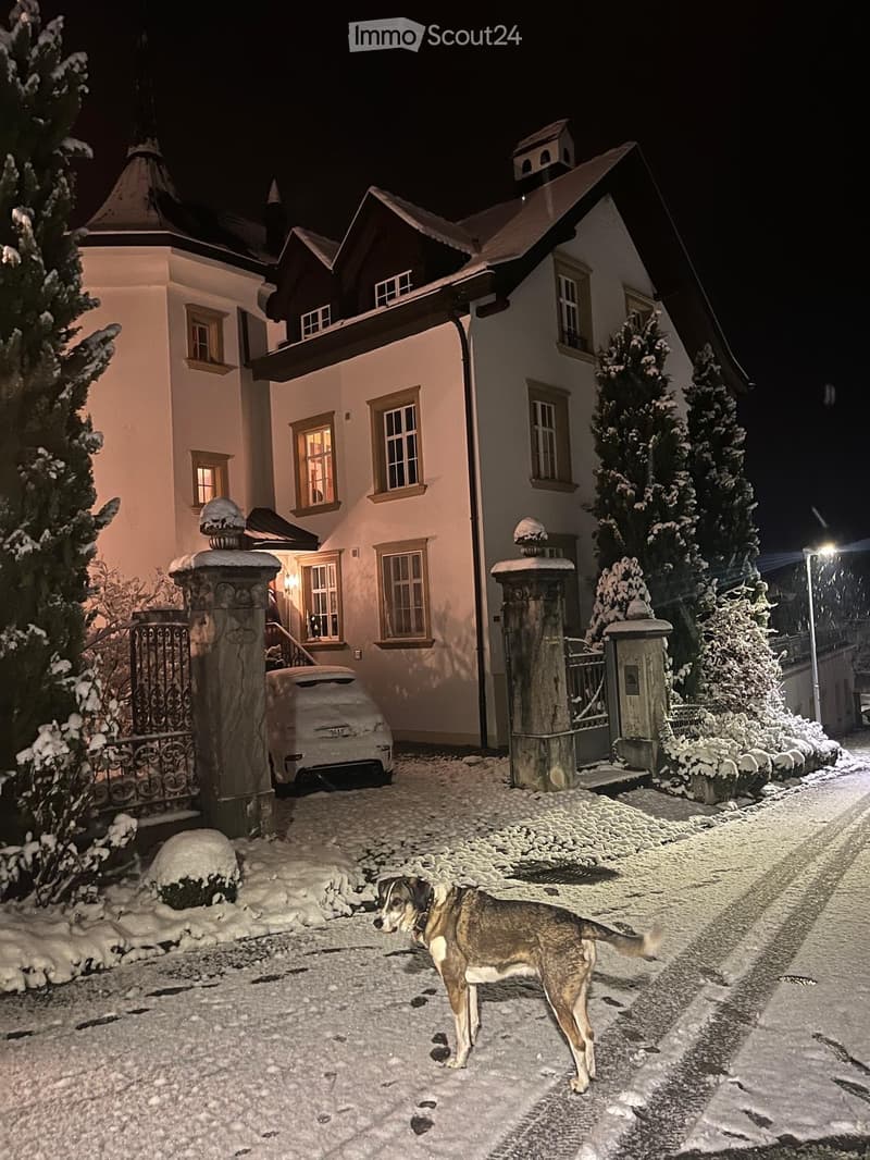 large building, covered in snow, car parked in front, illuminated entrance, decorative stone pillars, two gate posts with wrought iron fences, tall pine trees in the yard