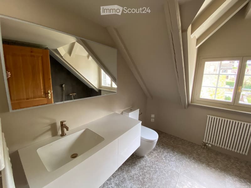White sink, wooden door, mirror, toilet, radiator, patterned flooring