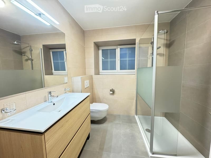 Modern bathroom with a large sink, mirror, toilet, and walk-in shower with glass enclosure.