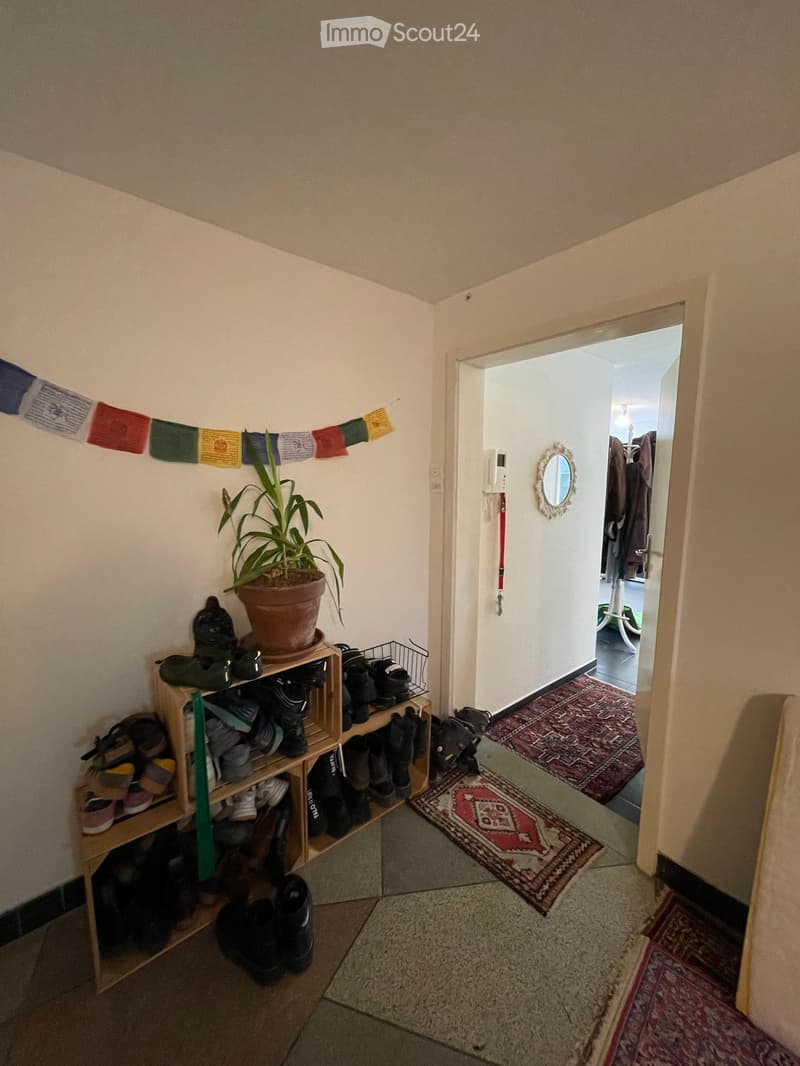 Hallway with a shoe rack, potted plant, and colorful fabric hanging on the wall. A small rug leads to an open doorway revealing another room with a larger rug and some furniture.