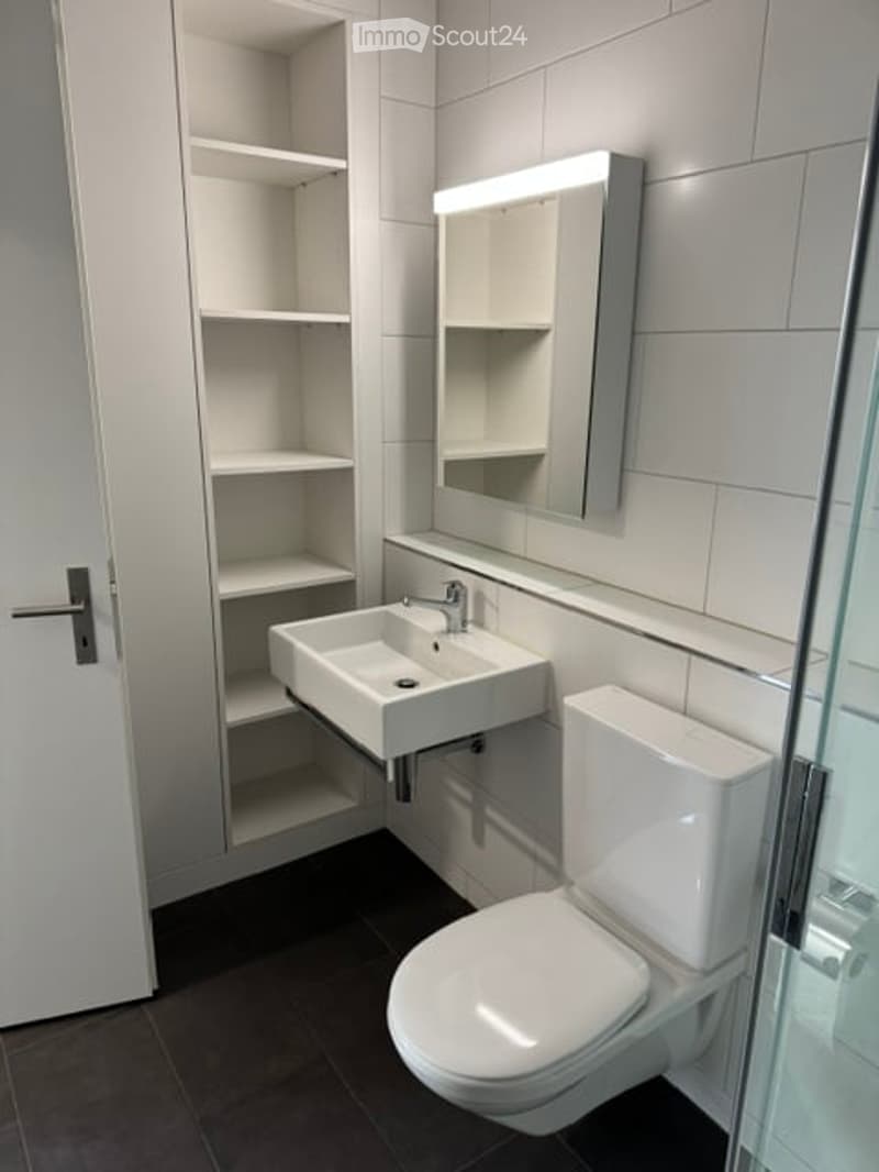 Modern bathroom with white tiles, a white sink, a toilet, a mirror, and a built-in cabinet with shelves.