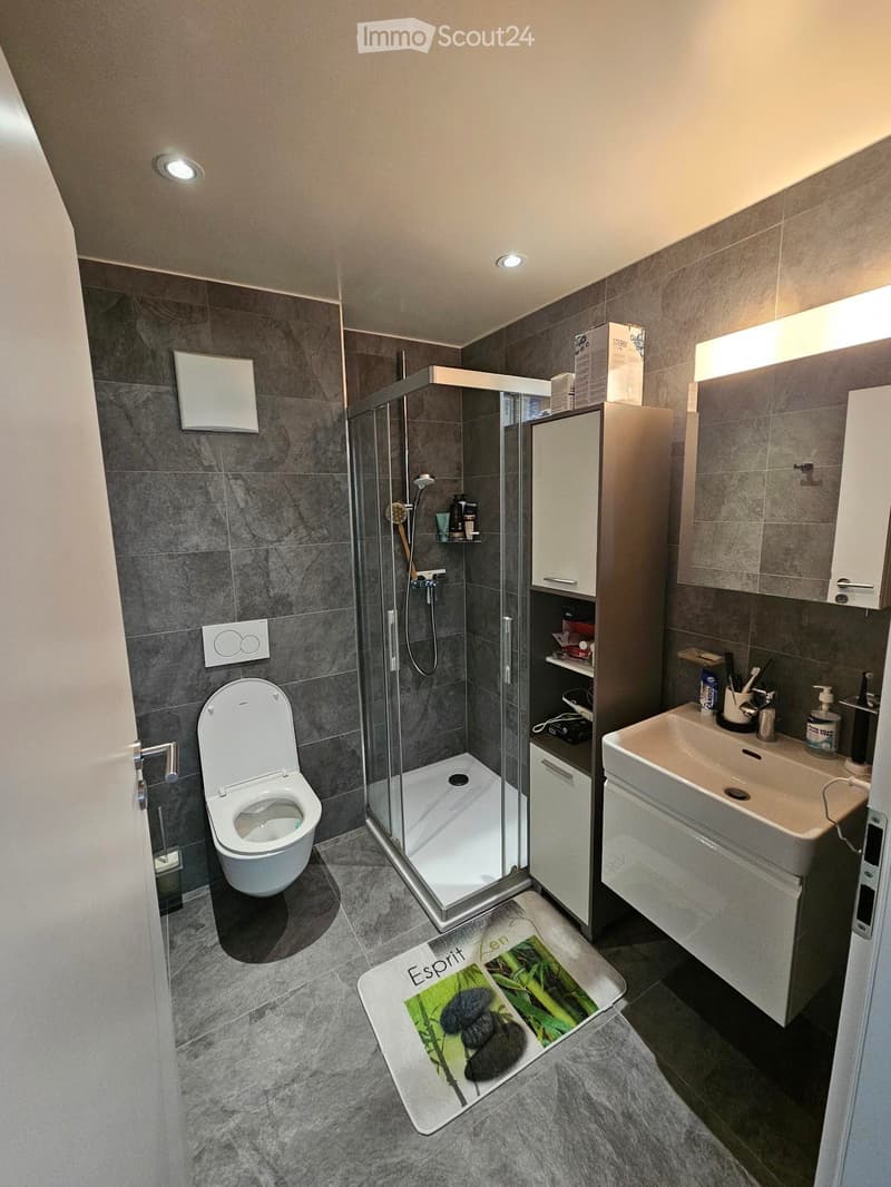 Modern bathroom with grey tiles, a toilet, a sink with a mirror, a glass-enclosed shower, and built-in cabinets.