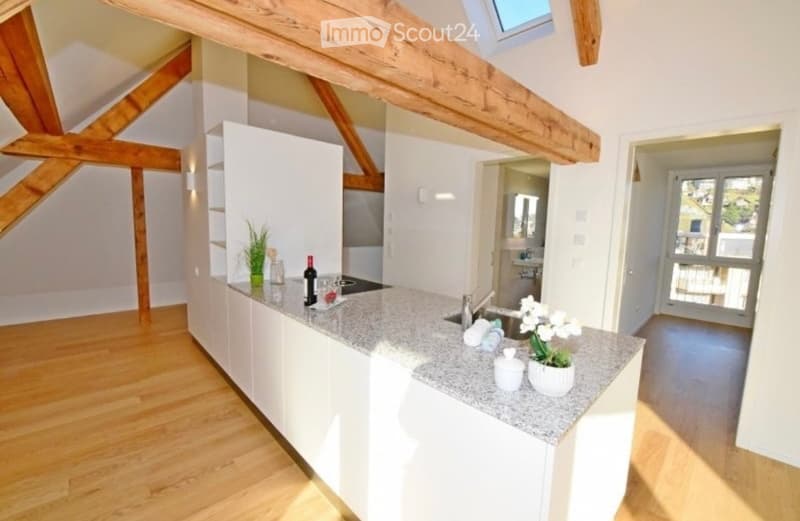 Modern kitchen with white cabinets, granite countertop, wooden floor, and visible sink and faucet. A bottle, cup, and flower pot are placed on the counter.