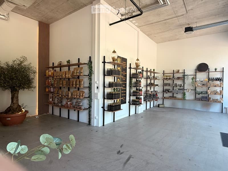 Modern retail space with exposed wooden ceiling, concrete floor, shelves filled with products, and a large potted tree.