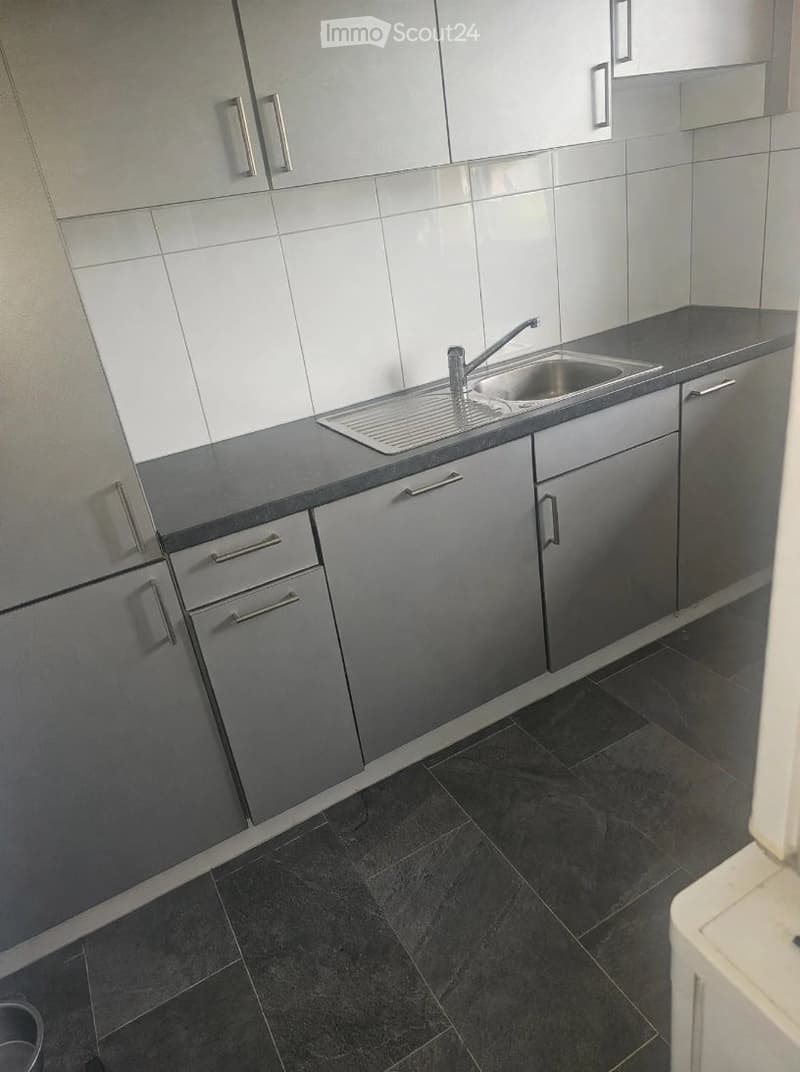 Modern kitchen with grey cabinets, dark countertops, and a stainless steel sink.