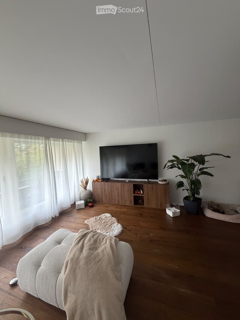 Modern living room with wooden flooring, a large flat-screen TV on a wooden cabinet, a light-colored sofa with a blanket, a fluffy white rug, a tall potted plant, and decorative items on the floor and cabinet.