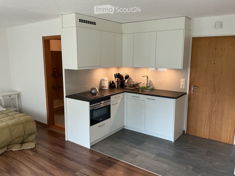 {"type": "Furnished Room", "objects": ["oven", "sink", "faucet", "cabinets", "countertop", "cutting board", "faucet", "oven", "oven", "oven", "oven", "oven", "oven", "oven", "oven", "oven", "oven", "oven", "oven", "oven", "oven", "oven", "oven", "oven", "
