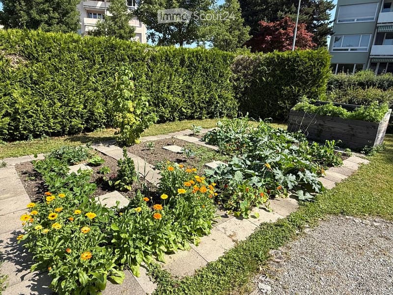 Well-maintained garden with a variety of plants, flowers, and vegetables arranged in raised beds and pathways.