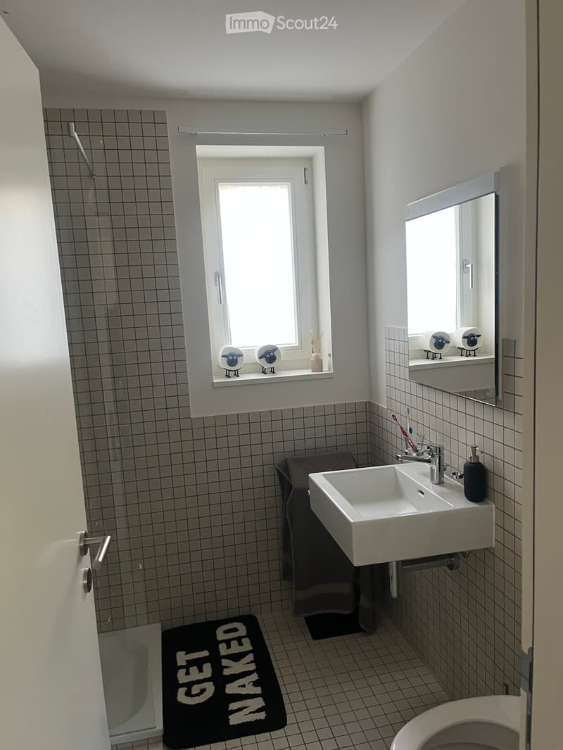 Modern bathroom with grey tiled walls and floor, white sink with modern faucet, toilet, large mirror, bathrobe on a rack, and decorative sheep figurines on the windowsill.