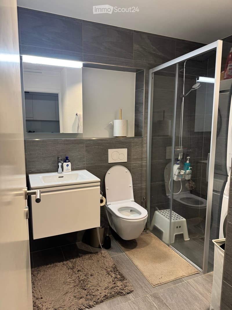 Modern bathroom with dark grey tiles, white fixtures, a glass-enclosed shower, a sink with a mirror, and a toilet. Includes a fluffy brown rug and a small white stool inside the shower area.