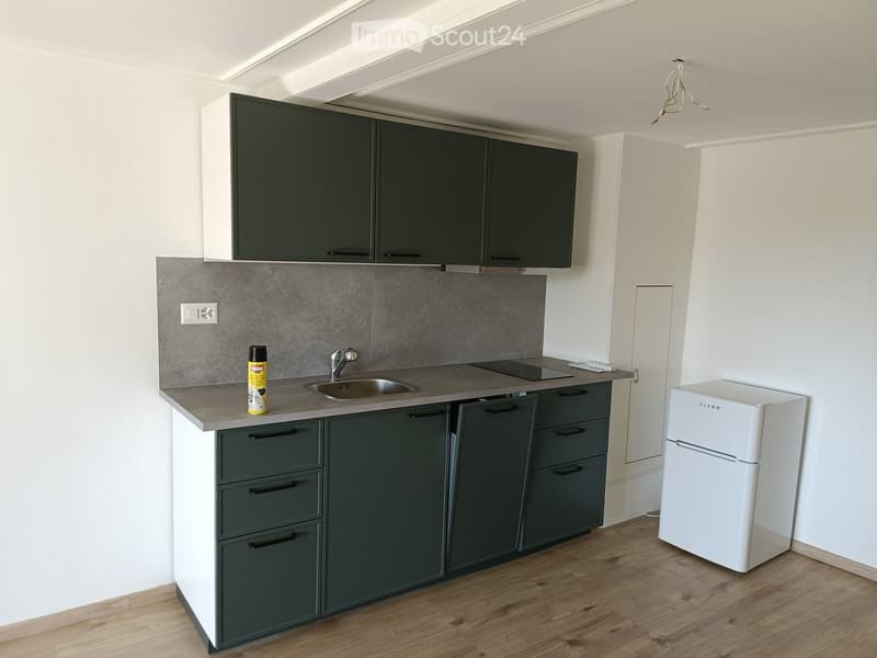 Modern kitchen with dark green cabinets, white walls, wooden flooring, and a stainless steel sink.