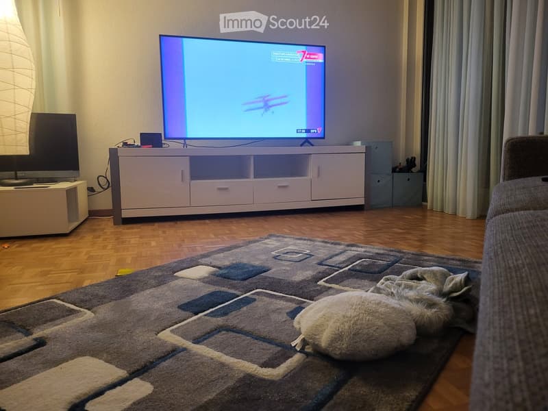 Modern living room with a large flat-screen TV on a white TV stand, a grey sofa, a patterned rug, and a floor lamp. The TV is displaying a program with a blue background and an airplane graphic.