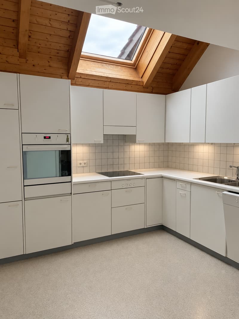 Modern kitchen with white cabinets, stainless steel appliances, and a skylight window above the sink.