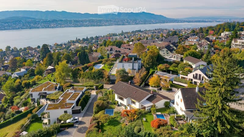 Aerial view of a suburban neighborhood with modern houses, green lawns, and a scenic lake and mountain view in the background.