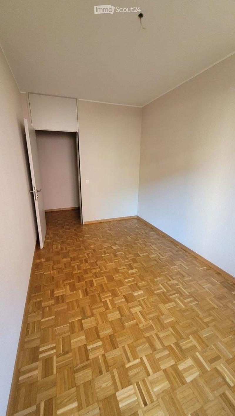 Empty room with wooden parquet flooring, light-colored walls, and a small closet with an open door.